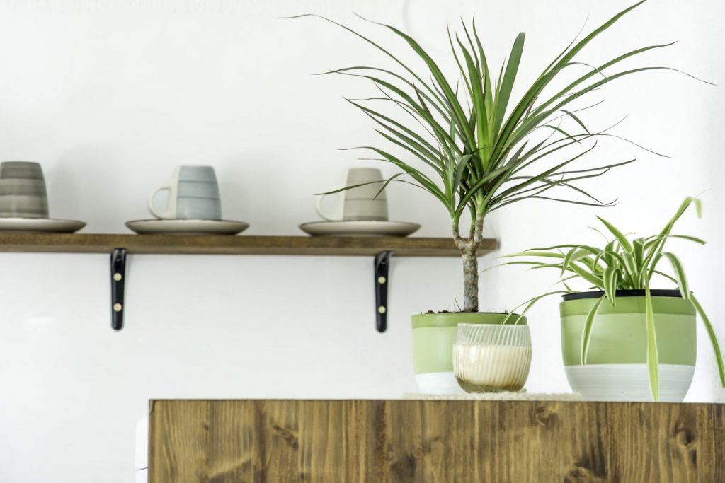 Green flowers make the living room at Summer House Kot look fresh and clean.