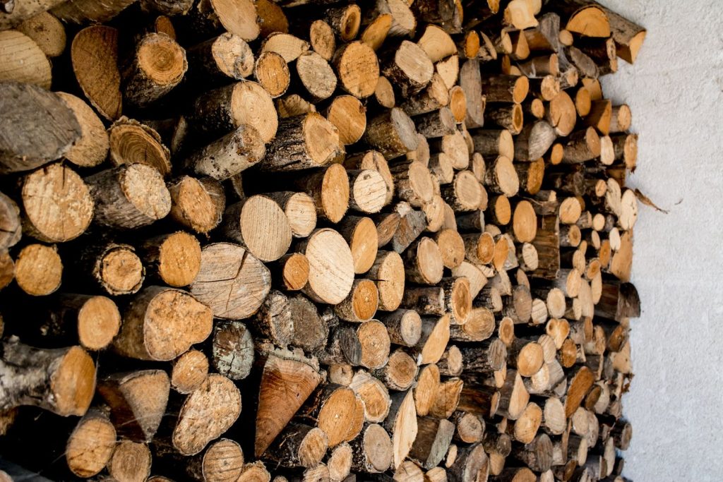 A pile of fire wood that you cany see when you go canyoning in Soca river valley.